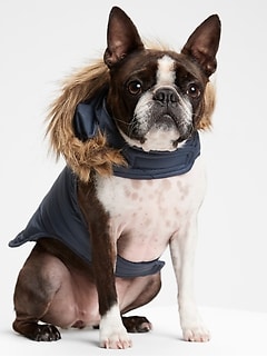gap dog sweater